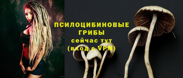 jwh Белокуриха
