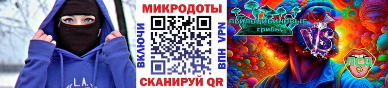 Купить  Воркута  Псилоцибиновые грибы Psilocybe 